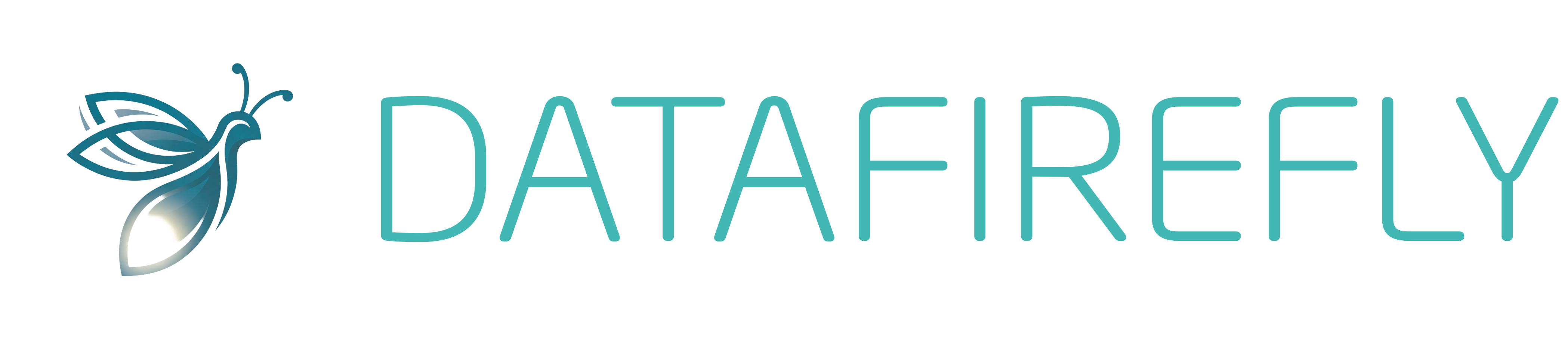 Datafirefly